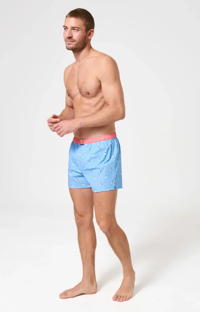 Caleçon américain homme avec maintien 100% coton bio ARTHUR "Le Club" CSP - Ciel 1205E26