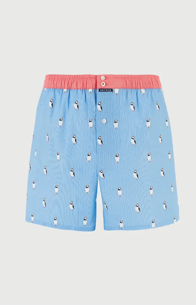 Caleçon américain homme avec maintien 100% coton bio ARTHUR "Le Club" CSP - Ciel 1205E26