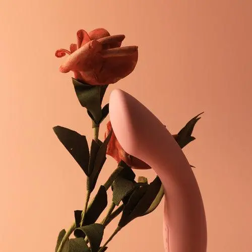 Vibromasseur du point G SVAKOM "Amy" - Rose