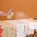 Vaposisateur falicite le repassage SOAK 248ml - Fig