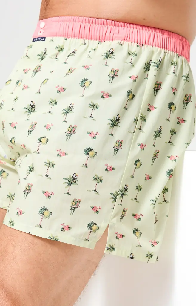 Caleçon américain homme avec maintien 100% coton ARTHUR "Le Club" CSP -  Multicolore 1225E26