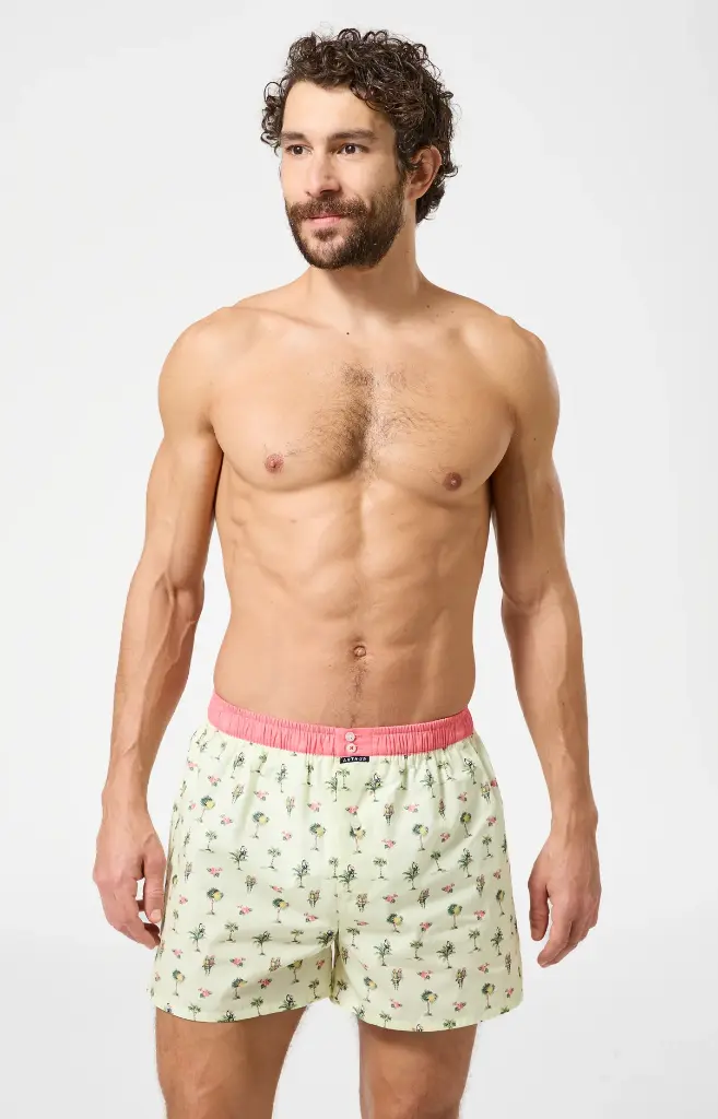 Caleçon américain homme avec maintien 100% coton ARTHUR "Le Club" CSP -  Multicolore 1225E26