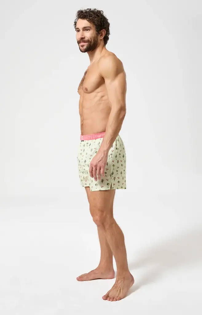 Caleçon américain homme avec maintien 100% coton ARTHUR "Le Club" CSP -  Multicolore 1225E26