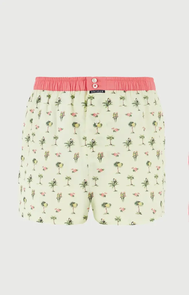 Caleçon américain homme avec maintien 100% coton ARTHUR "Le Club" CSP -  Multicolore 1225E26