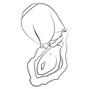 Stimulateur clitoridien ROMP by WOMANIZER "Rose" - Rose