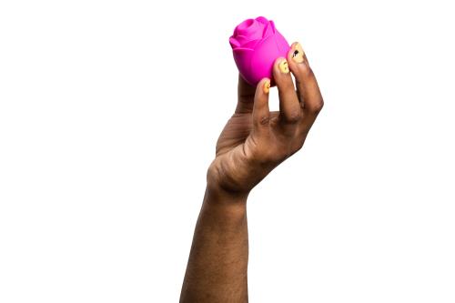 Stimulateur clitoridien ROMP by WOMANIZER "Rose" - Rose