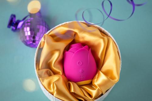 Stimulateur clitoridien ROMP by WOMANIZER "Rose" - Rose