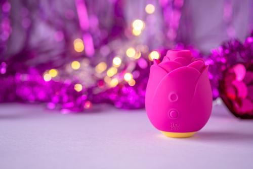 Stimulateur clitoridien ROMP by WOMANIZER "Rose" - Rose
