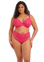 Slip ELOMI "Darcie" EL302955 - Azalea AZA