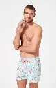 Short de bain ARTHUR BBI VANNE26 "Van Life" - Mint