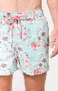 Short de bain ARTHUR BBI VANNE26 "Van Life" - Mint