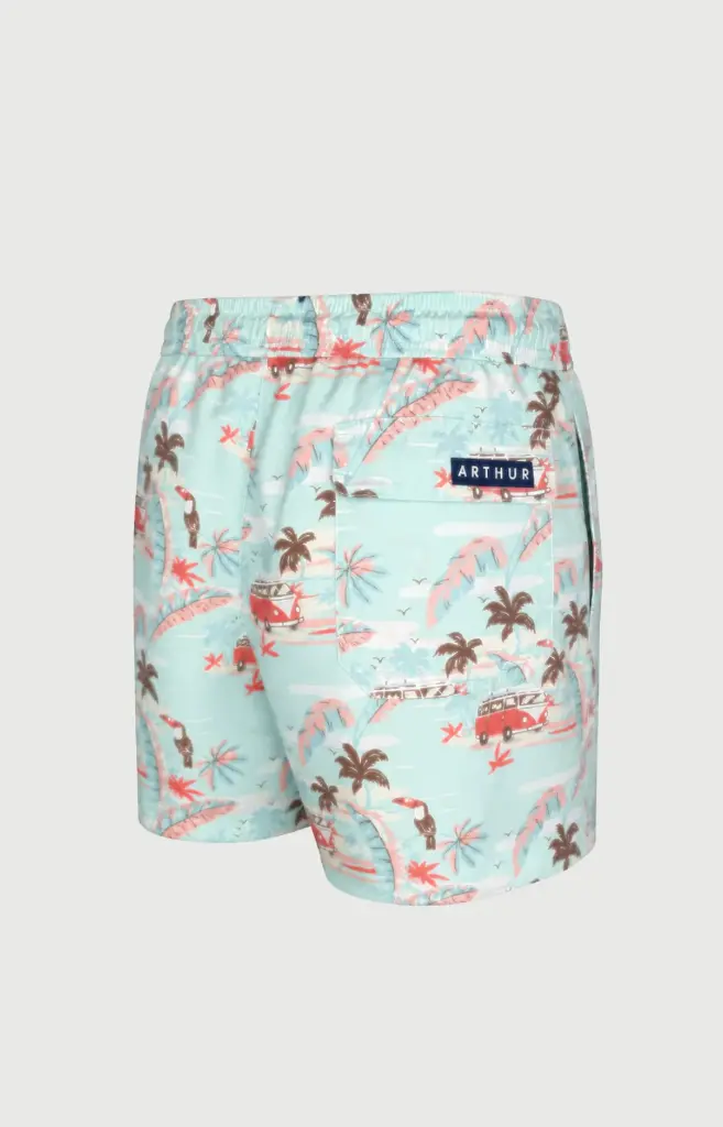 Short de bain ARTHUR BBI VANNE26 "Van Life" - Mint