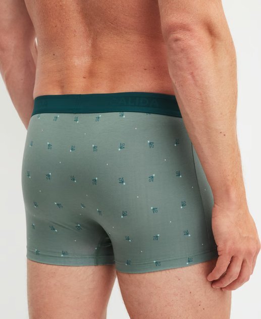 Boxer homme fantaisie 90% coton CALIDA "Grafic Cotton" 26180 - Laurel Green 618