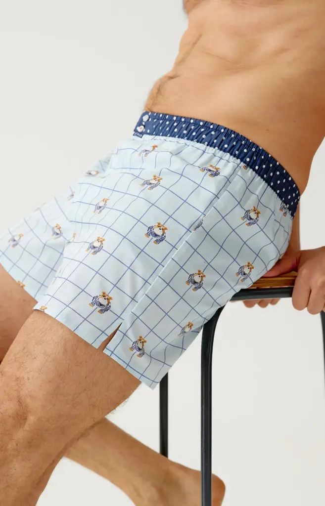 Caleçon américain homme avec maintien 100% coton bio ARTHUR "Le Club" CSP - Ciel 1245H26