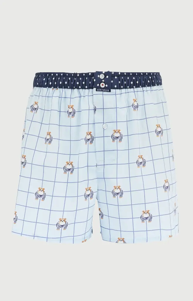 Caleçon américain homme avec maintien 100% coton bio ARTHUR "Le Club" CSP - Ciel 1245H26