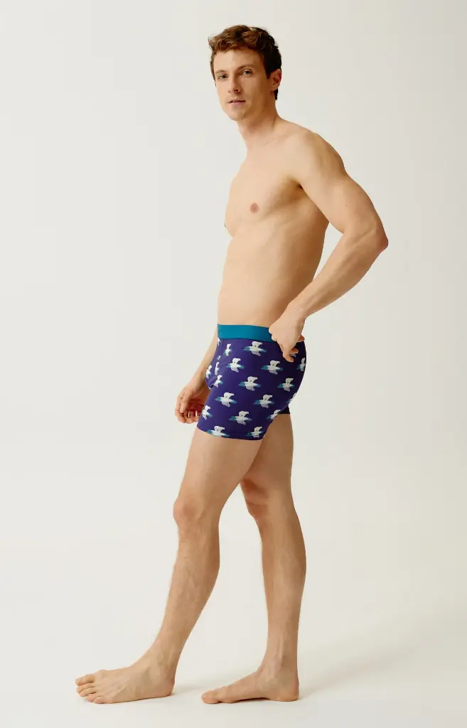Boxer homme coton bio ARTHUR "Comment Savane" MAC - Marine POLAH26