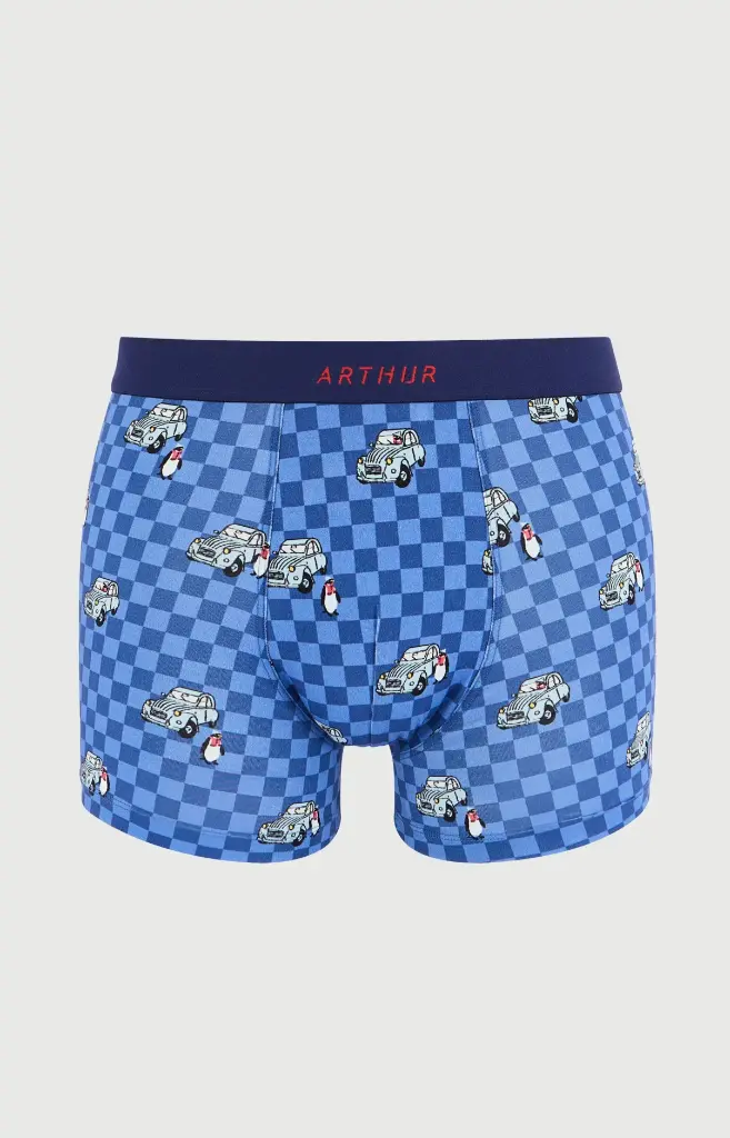 Boxer homme coton bio ARTHUR "Lent au démarrage" MAC - Bleu 2CVCH26