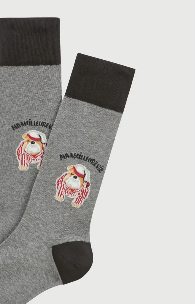 Chaussette homme fantaisie ARTHUR "Ma meilleure vie" 1SO - Gris BDOGH26