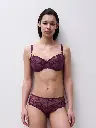 Shorty CHANTELLE "Illusion" C1B4B0 - Aubergine Lurex E63
