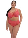 Culotte ELOMI "Brianna" EL8085 - Cayenne CYN