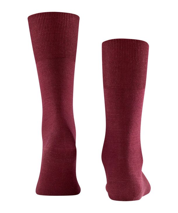 Chaussettes Hommes Laine FALKE "Airport " 14435 - Barolo 8596