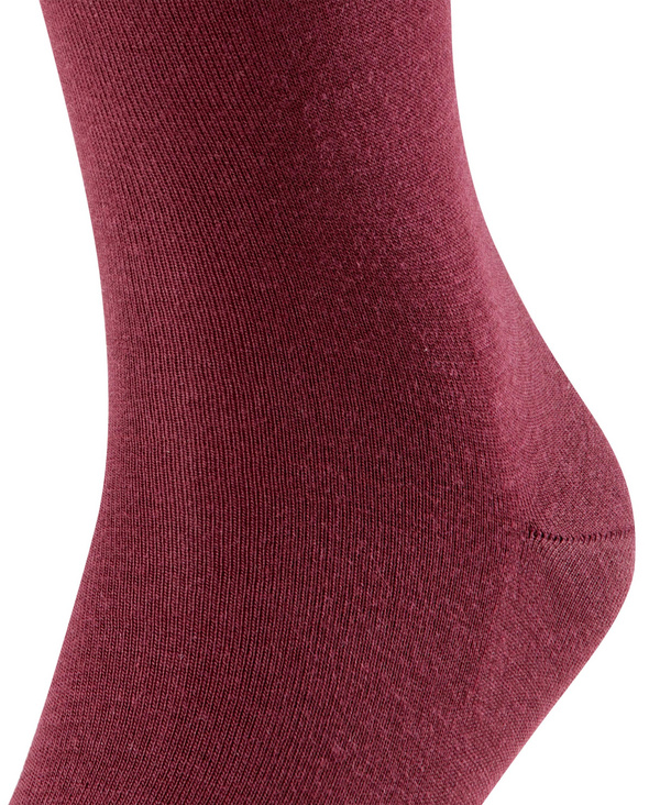 Chaussettes Hommes Laine FALKE "Airport " 14435 - Barolo 8596