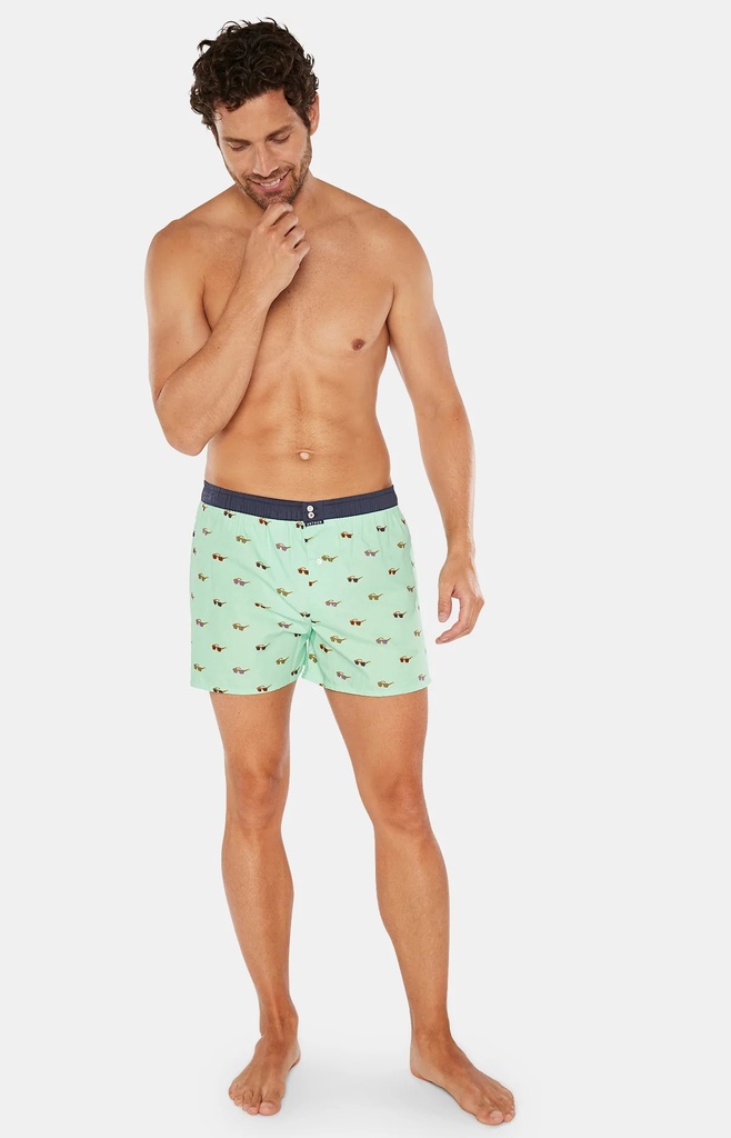 Caleçon américain homme avec maintien intérieur 100% coton bio ARTHUR "Le Club" CSP - Pista 969