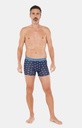Boxer homme fantaisie 95% coton bio ARTHUR MAC - 2CVH22