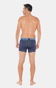 Boxer homme fantaisie 95% coton bio ARTHUR MAC - 2CVH22