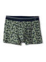 Boxer homme fantaisie 95% coton CALIDA "Cotton Code Design" 26684 - Olive Oli 676