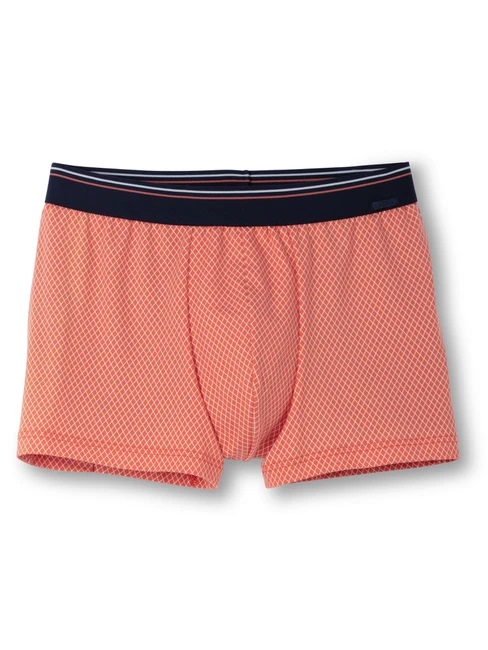 Boxer homme coton stretch & ceinture élastique CALIDA "Cotton Stretch" 25387 - Harvest 066