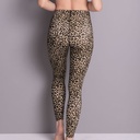 Legging de sport massant & respirant ANITA ACTIVE "Sport tights massage"1696 - Leopard 284