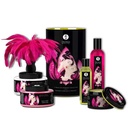 Coffret de massage érotique SHUNGA "Caresse & Romance"