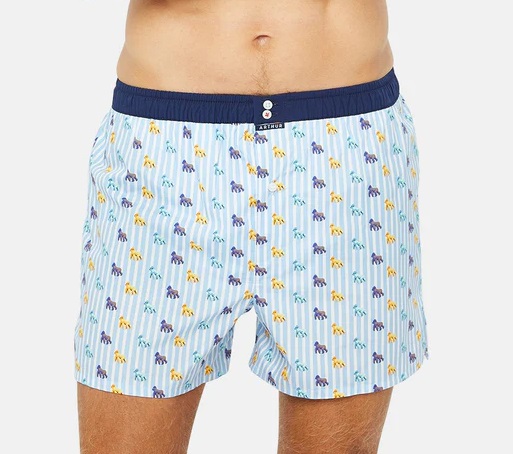 Caleçon américain homme avec maintien 100% coton bio ARTHUR "Le Club" CSP - Ciel Motif Gorille CL1044
