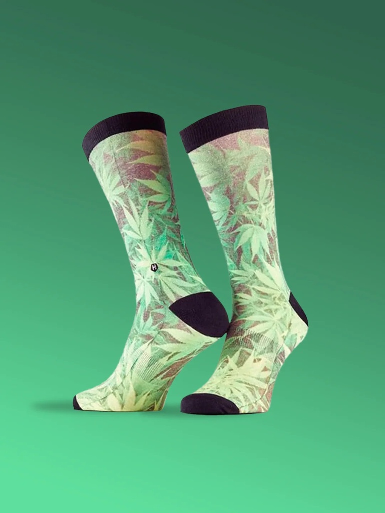 Chaussette homme fantaisie LOIC HENRY "Cannabis" KSI003X - Vert Imprimé