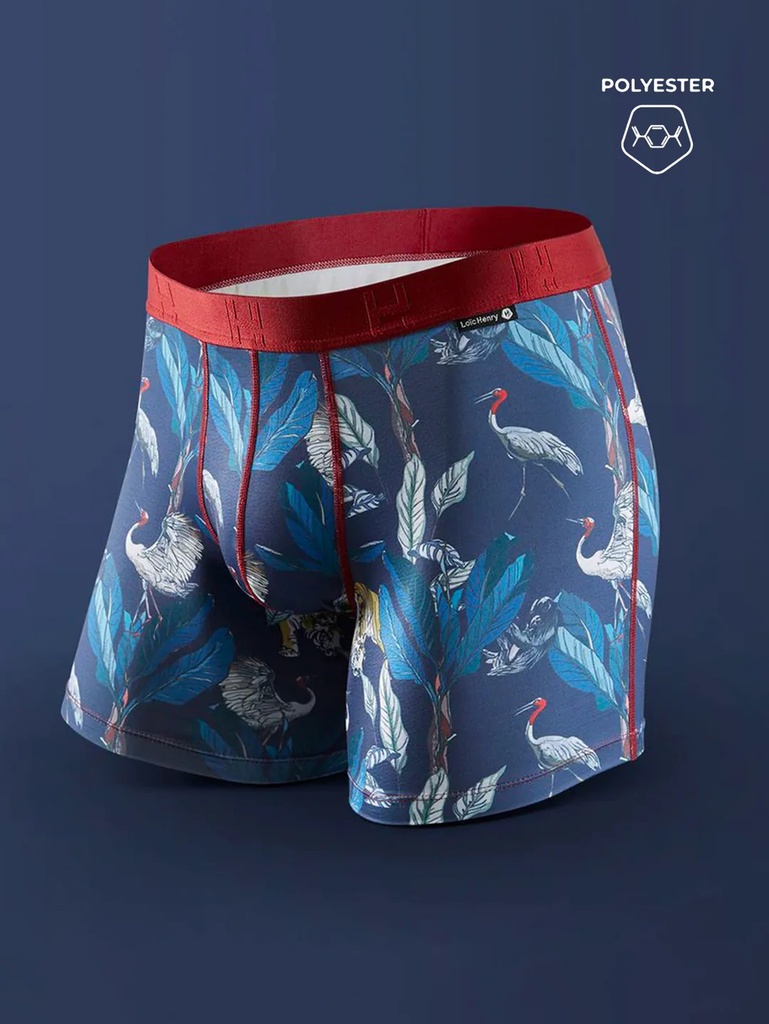 Boxer homme avec maintien intérieur LOIC HENRY "Identity" KBI025X - Exotic Birds (3)