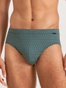 Slip homme fantaisie coton CALIDA "Grafic Cotton" 22563 - Dark Glen 549