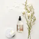 Vaposisateur falicite le repassage SOAK 248ml - Lacey