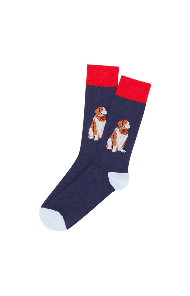Chaussettes homme fantaisies ARTHUR "Teddy" 1SO -  Marine WOUFH24