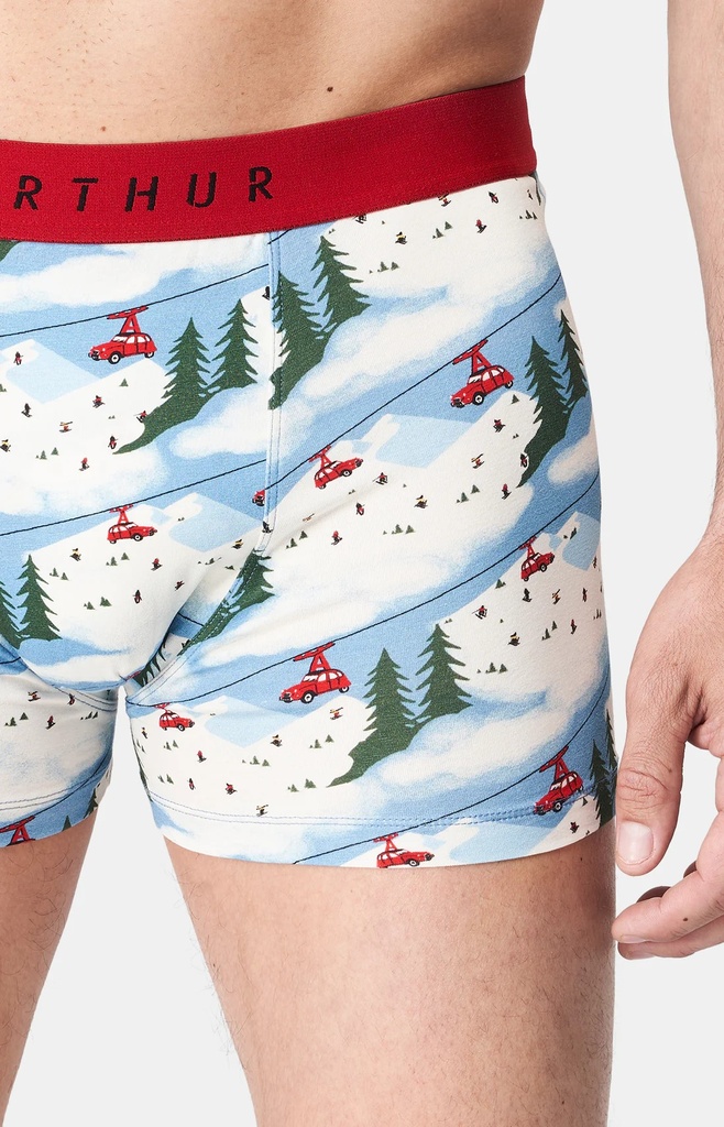 Boxer homme fantaisie 95% coton bio ARTHUR "2CV des Montagnes" MAC - Blanc 2CVCH24