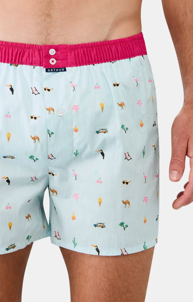 Caleçon américain homme avec maintien 100% coton bio ARTHUR "Le Club" CSP - Multicolore 1163E25 