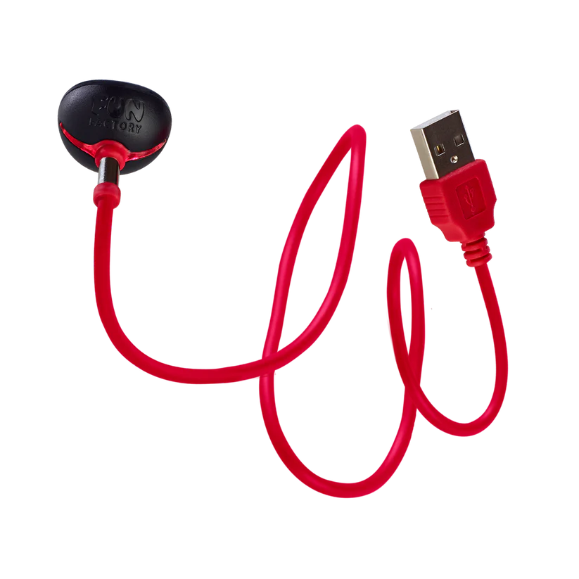 Chargeur USB magnétique FUN FACTORY "Essentials"