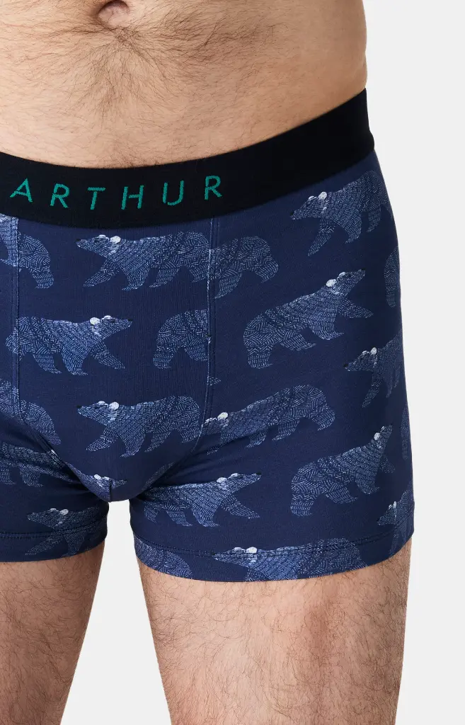 Boxer homme coton bio ARTHUR "Nuit Polaire" MAC - Marine POLAH25