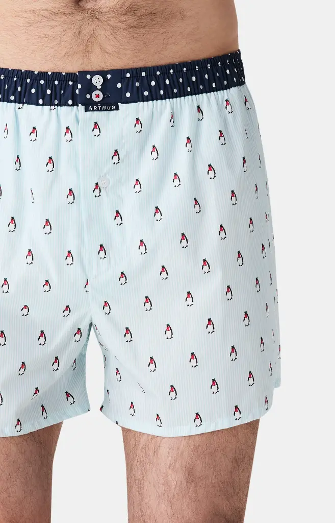 Caleçon américain homme avec maintien 100% coton bio ARTHUR "Le Club" CSP - Bleu Lagon 1174H25