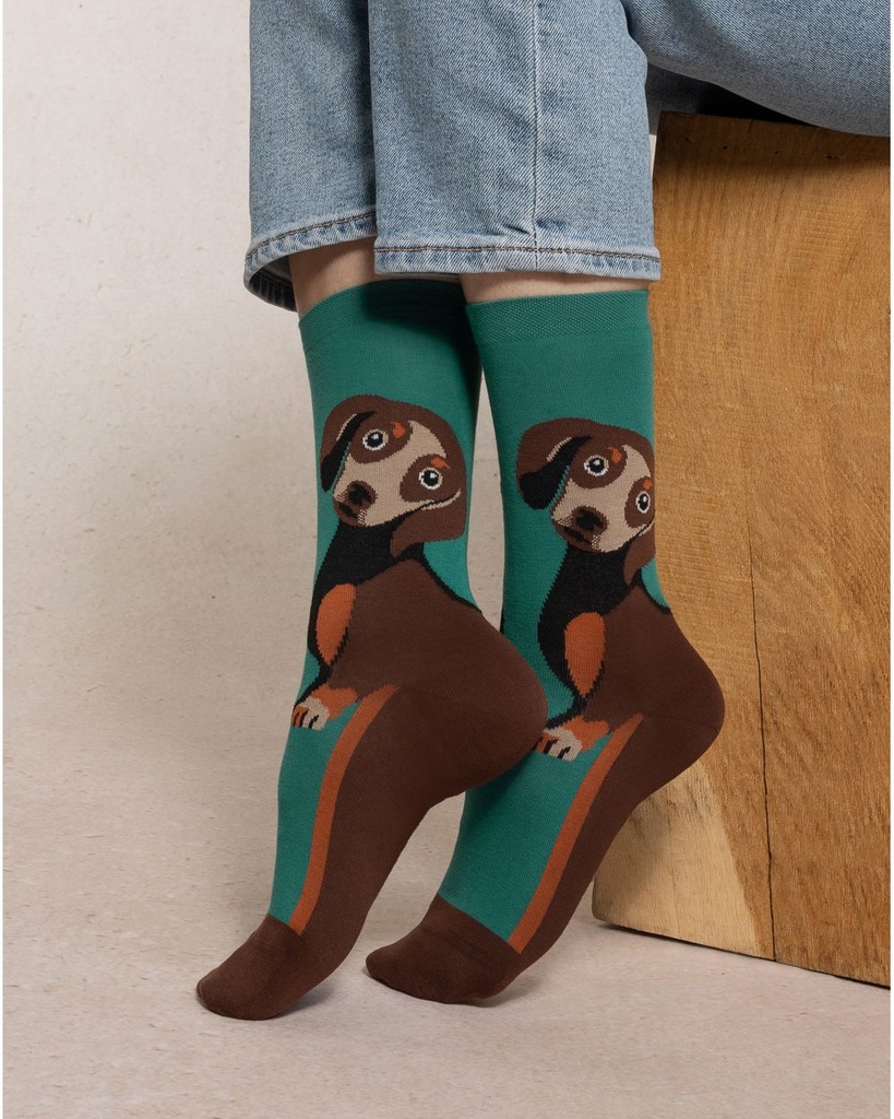Chaussettes dame coton BLEU FORET "Teckel" FBU6579 - Malachite PQ3