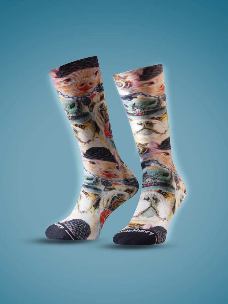 Chaussette homme fantaisie LOIC HENRY "Miroir" KSI012X - Animaux (39/42)