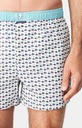 Caleçon américain homme avec maintien 100% coton bio ARTHUR "Le Club" CSP - Blanc Hérisons 1114H24
