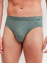Slip homme fantaisie 90% coton CALIDA "Grafic Cotton" 22767 - Laurel Green 618