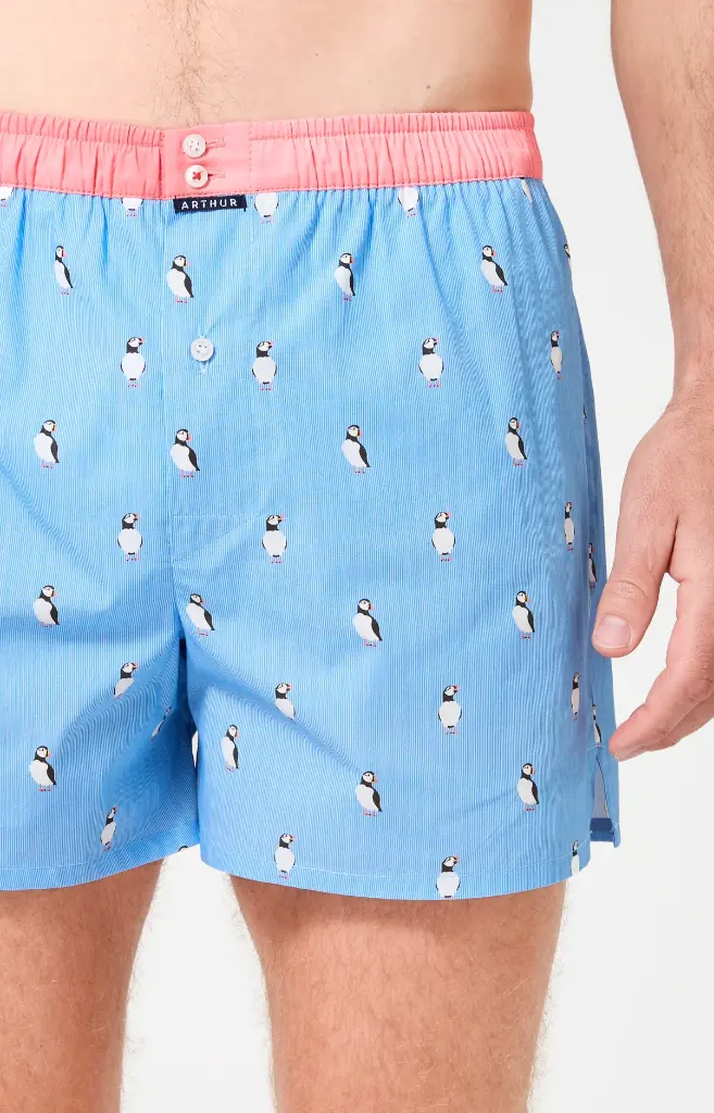 Caleçon américain homme avec maintien 100% coton bio ARTHUR "Le Club" CSP - Ciel 1205E26