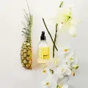 Vaposisateur falicite le repassage SOAK 248ml - Pineapple Grove